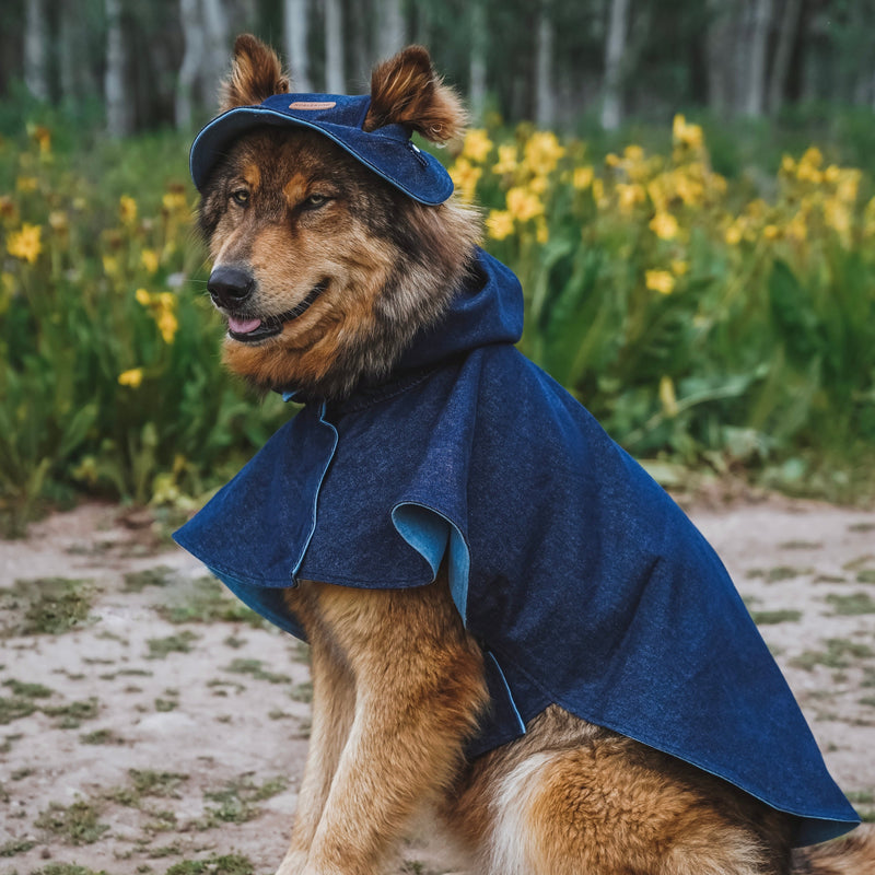 The Denim Coat