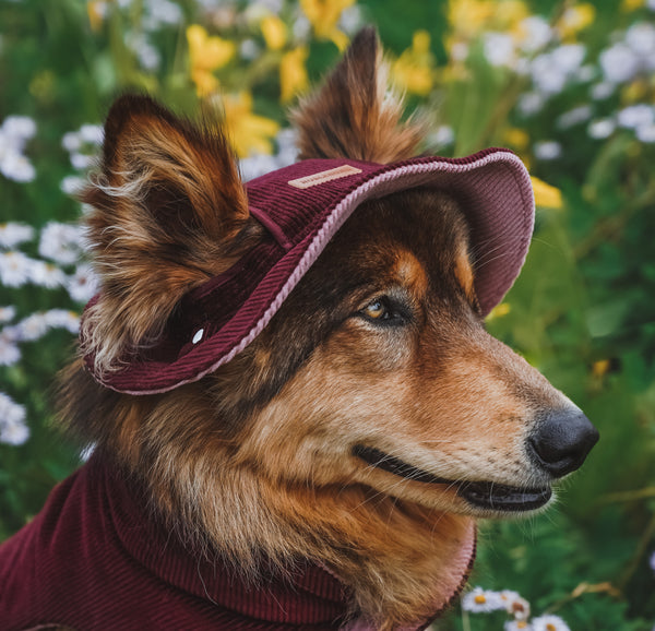 The Mulberry Velvet Corduroy Hat