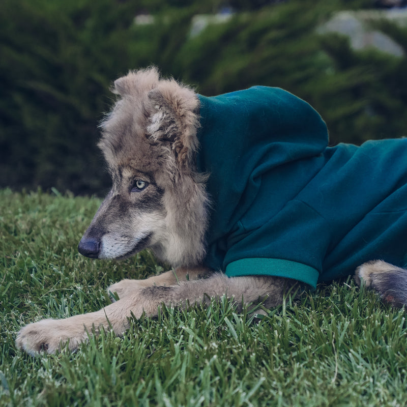 The Classic Hoodie - Castleton Green