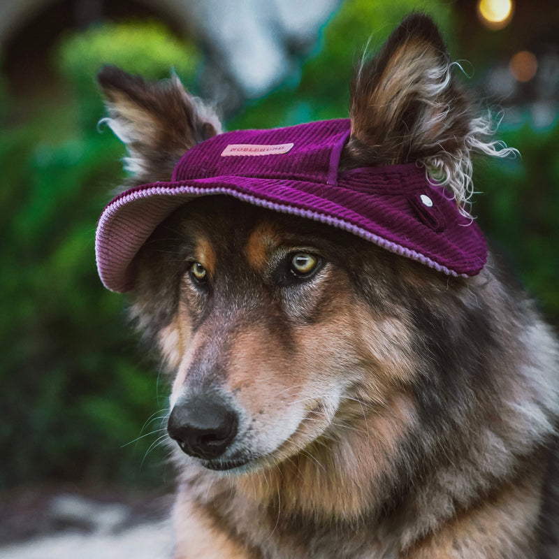 The Mulberry Velvet Corduroy Hat