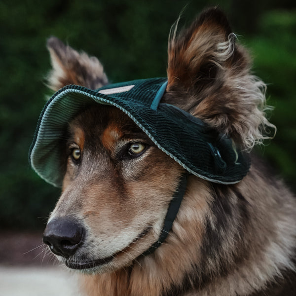 The Castleton Green Corduroy Hat